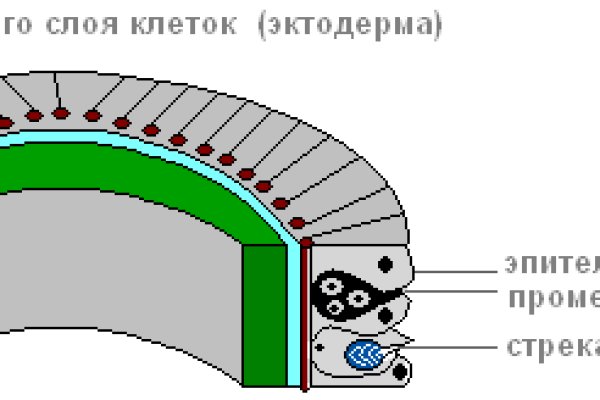 Кракен маркет даркнет только через тор скачать