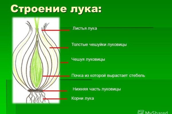 Восстановить доступ к кракену