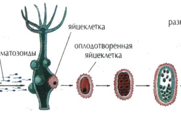 Kraken официальная ссылка