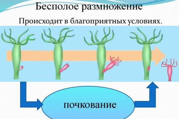 Кракен ат сайт