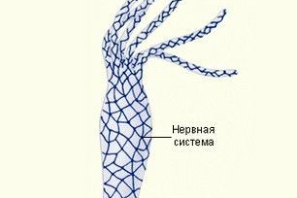 Кракен ссылку где