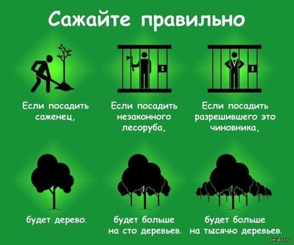 Вход в кракен чтобы купить меф
